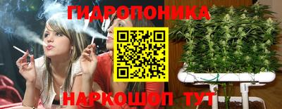 Альфа ПВП Комсомольск-на-Амуре